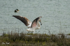 HR_ptic_inovo-394-of-280