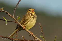 HR_ptic_inovo-435-of-280