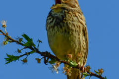 HR_ptic_inovo-454-of-280