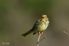 HR_ptic_inovo-457-of-280