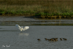 HR_ptic_inovo-467-of-280