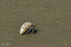 Kostarika23-347-of-455