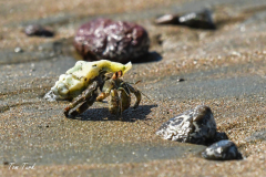 Kostarika23-352-of-455