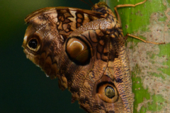 Kostarika23-404-of-455