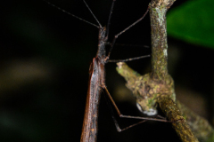 Kostarika23-434-of-455