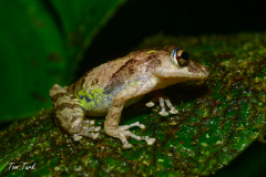 Kostarika23-300-of-455