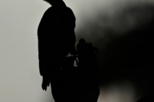 ptiči/birds