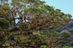 Kostarika23-383-of-455