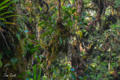 Kostarika23-385-of-455