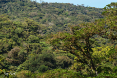 Kostarika23-386-of-455