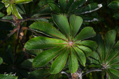 Kostarika23-388-of-455