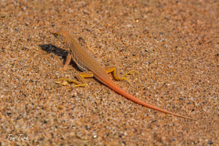 1_pokrajina-landscape-143