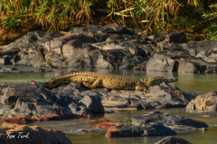 1_pokrajina-landscape-334