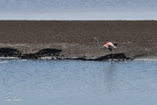 pokrajina-landscape-875