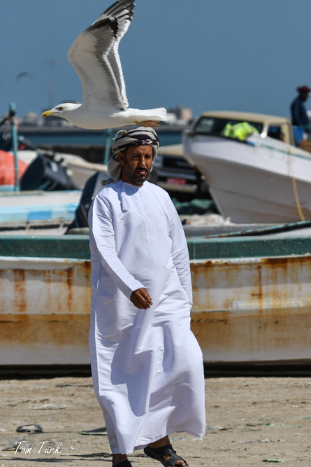 oman-94-of-378