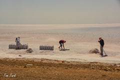 oman-69-of-378