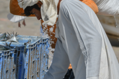 oman-91-of-378