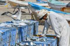 oman-92-of-378