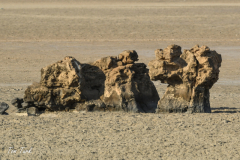 oman-126-of-378