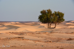 oman-132-of-378