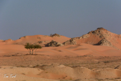 oman-133-of-378