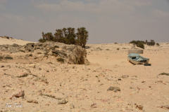 oman-144-of-378