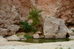 oman-16-of-378
