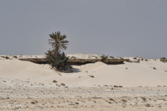 oman-163-of-378