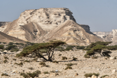 oman-207-of-378