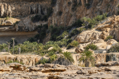 oman-209-of-378