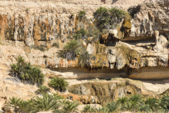 oman-210-of-378