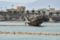 oman-31-of-378