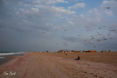 oman-42-of-378