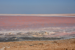 oman-59-of-378