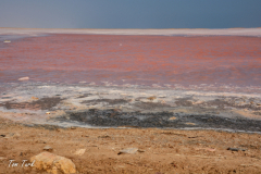oman-62-of-378