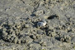 oman-116-of-378