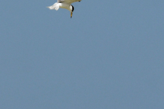 oman-181-of-378
