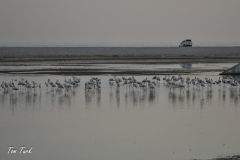 oman-328-of-378