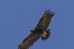 oman-333-of-378