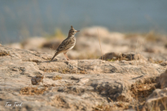 oman-368-of-378
