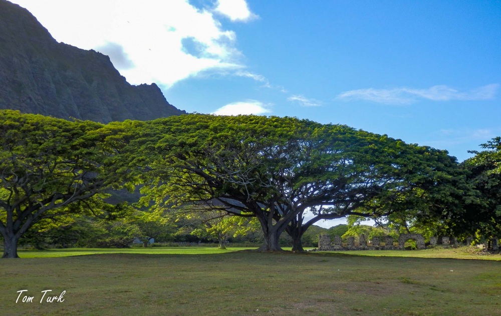 Hawai-45