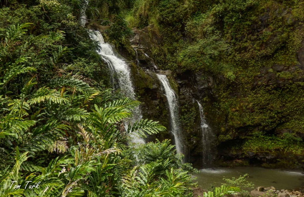 Hawai-54