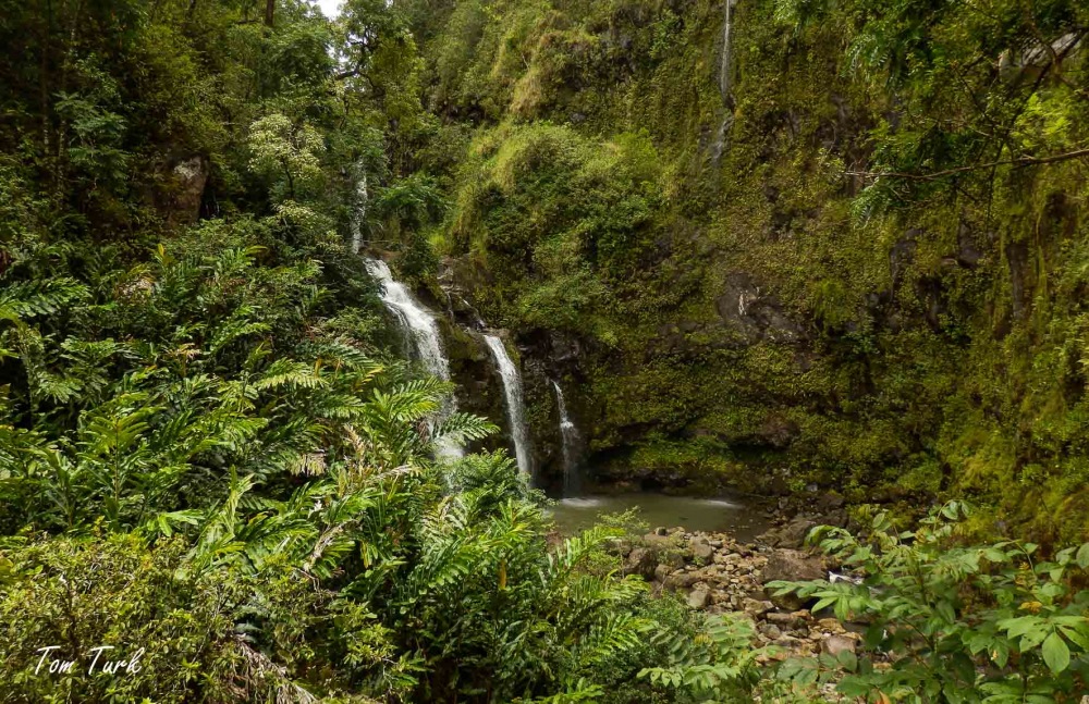 Hawai-55