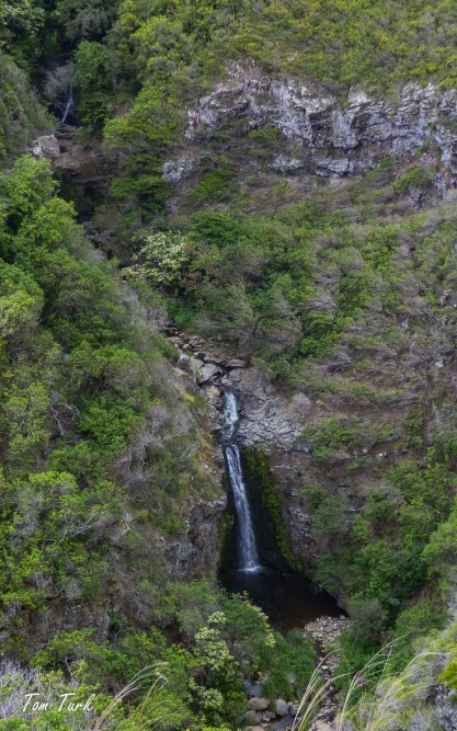 Hawai-59