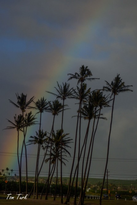 Hawai-93
