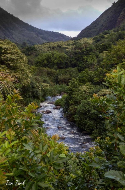 Hawai-99