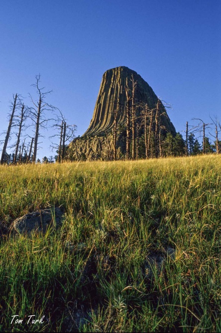 Wyoming-45