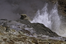 Image40