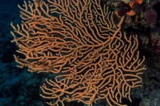UW-139